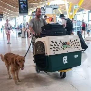 A man with his dog and a large travel crate at the airport, representing pet cargo shipping to the United States