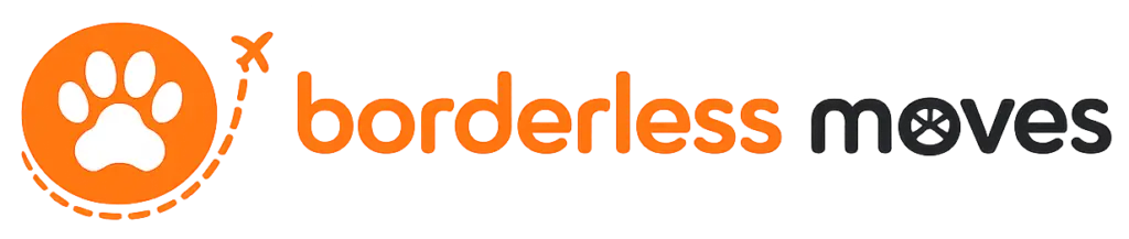 Borderless Moves logo clear background